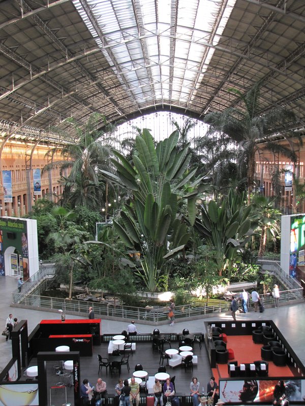 4 Tropical garden at Atocha Train Station