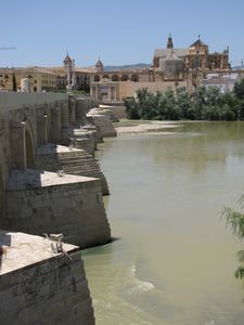 51 Mezquita from other side of river