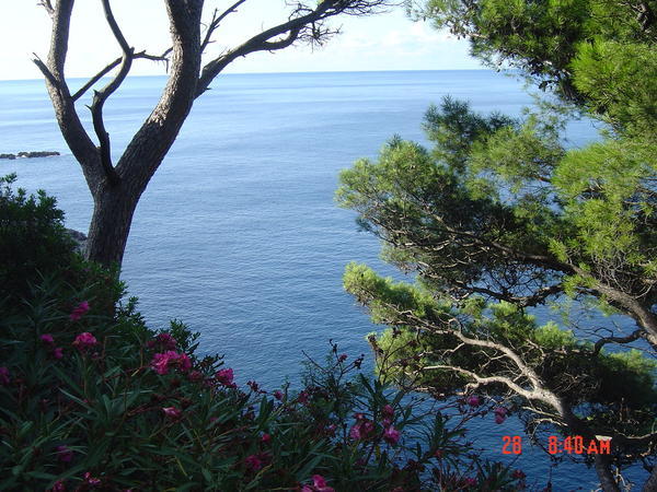 peaceful Dubrovnik view