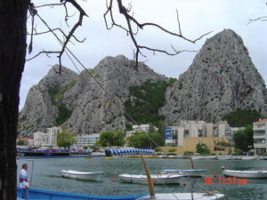 Omis