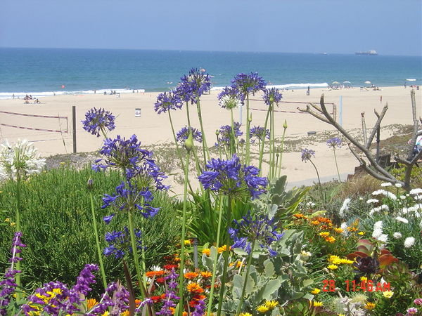 beach, southern california