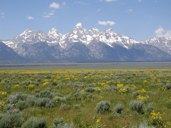 Grand Tetons (another view) 