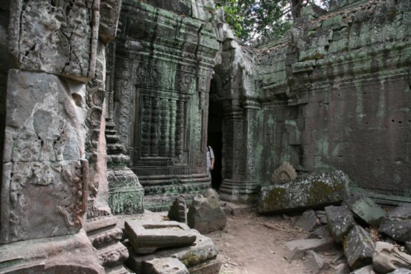 tree temple