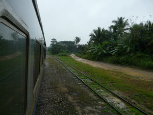 The Jungle Train