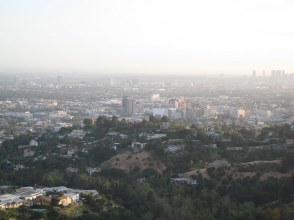 Overlooking Hollywood