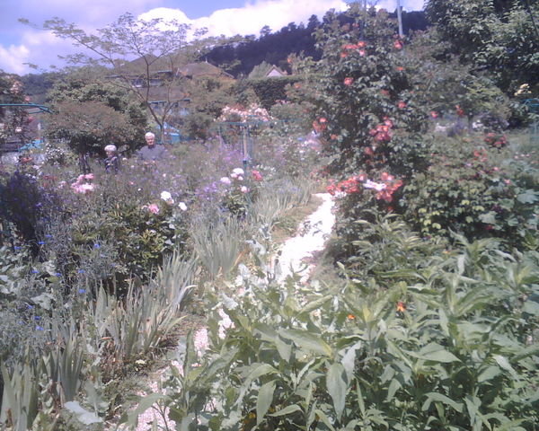 Monet's gardens 2