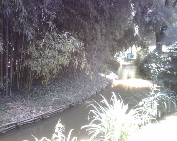 Monet's gardens 3