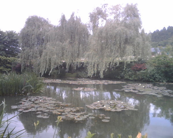 Monet's gardens 4