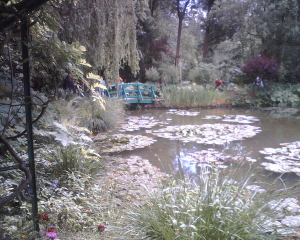 Monet's gardens 6