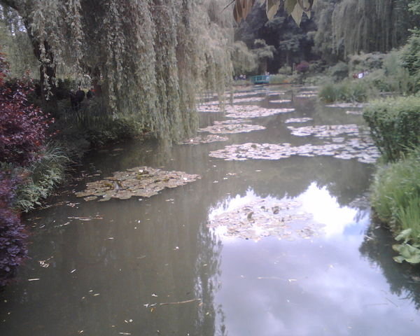 Monet's gardens 7