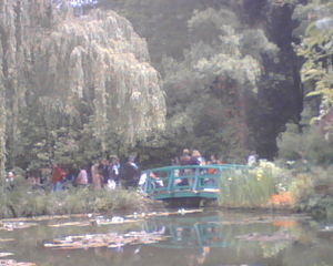Monet's gardens 5