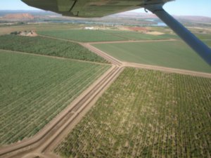 Irrigated Fields of the Ord River Irrigation Project