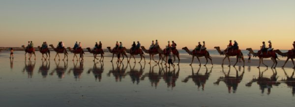 Camel Reflections at Cable Beach