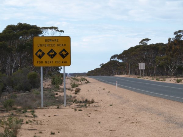 Wildlife Signs on the Eyre Highway