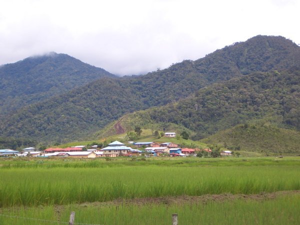 Bario Valley