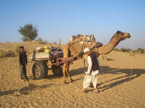 Camel Trekking (5)