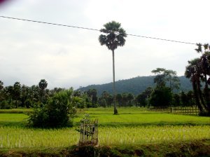 Kampot District