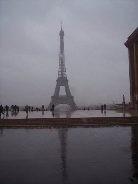 the eiffel tower on a rainy day