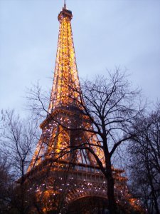 the eiffel tower twinkles sometimes at night..  