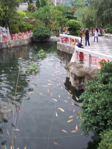 1 of the lakes inside the good wish garden