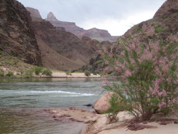 The Colorado River