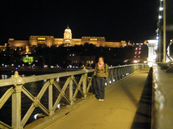 The Chain Bridge Overlooking Buda Castle Palace