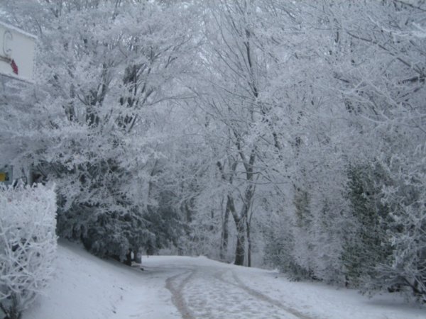 Snowy Kahlenberg