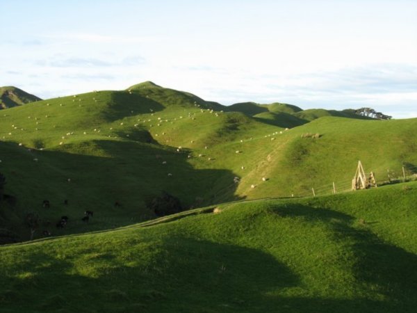 NZ's countryside