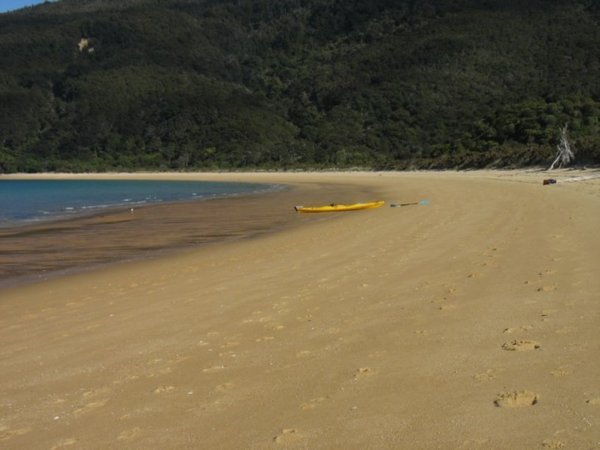 beaches in abel tasman