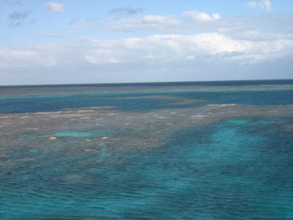 the reef from above