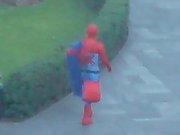 Spider man makes a new life in Peru...
