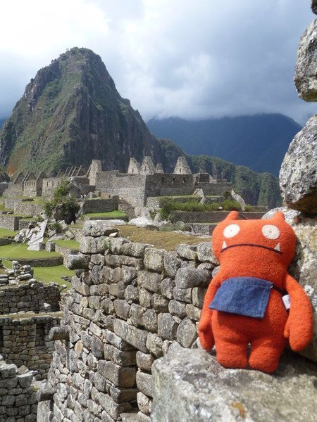 Mr wage goes to Machu Picchu 