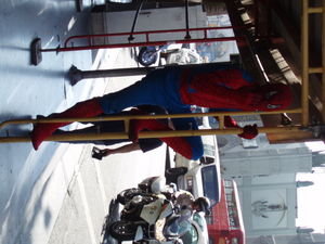 Spider man on Hollywood Blvd