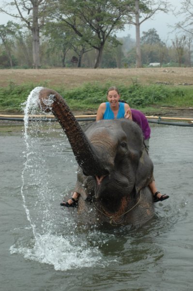 Jen and the elephant