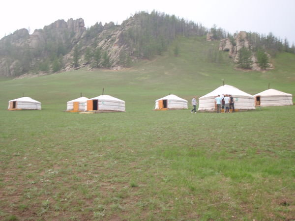 Ger tents/yurts