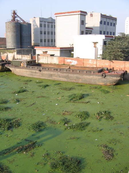 Canal pollution