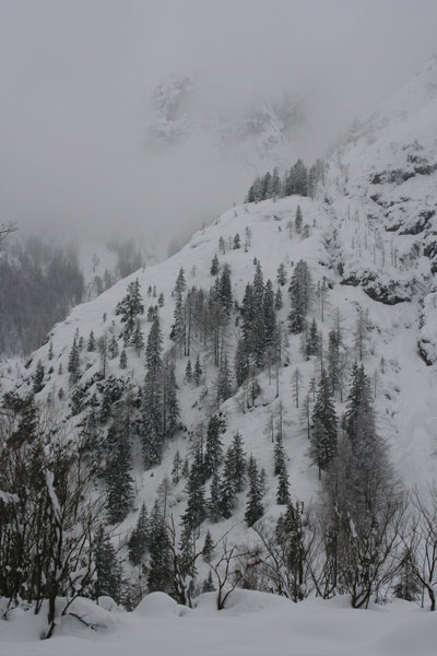 Alps scene