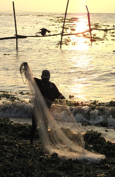 Cochin fisherman
