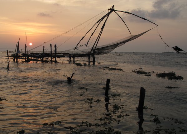 Fisherman in Cochin