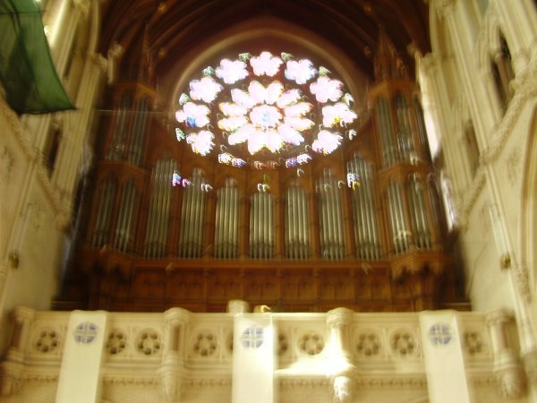 The Organ Gallery