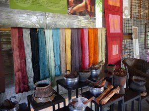 Learning about silk weaving and dyes