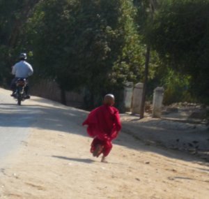 small speedy monk