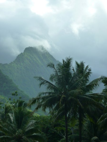 Misty Tahiti interior