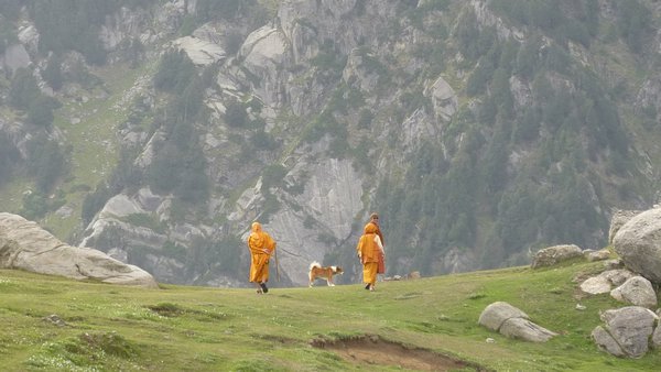 Nepalese and Thai monks walking their dog!