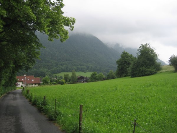 Lush green Austrian countryside