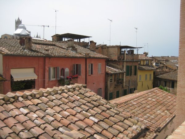 Rooftops in Siena