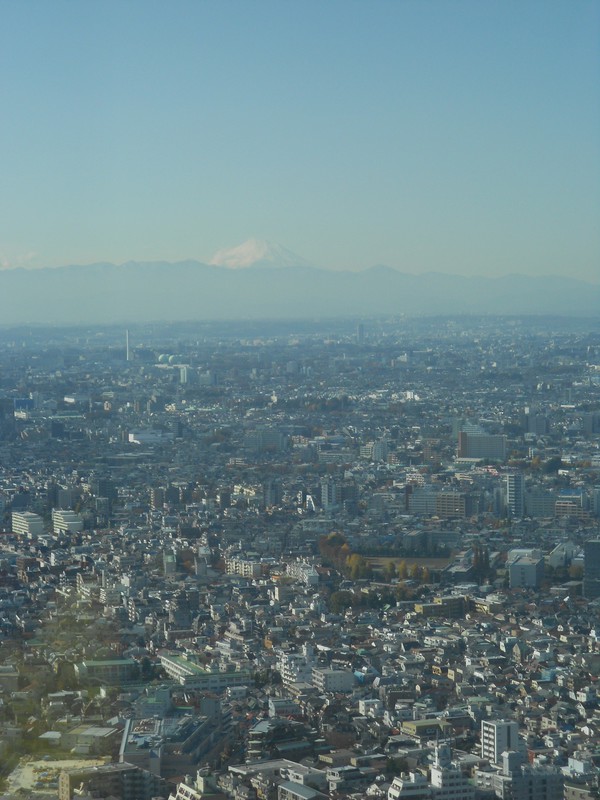 Mount Fuji in the Background