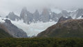 As much as I saw of the Fitz Roy that day