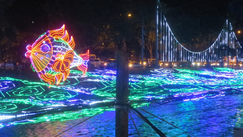 Light Fish on the River
