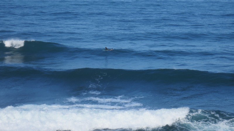Watching a Surfer From Our Room